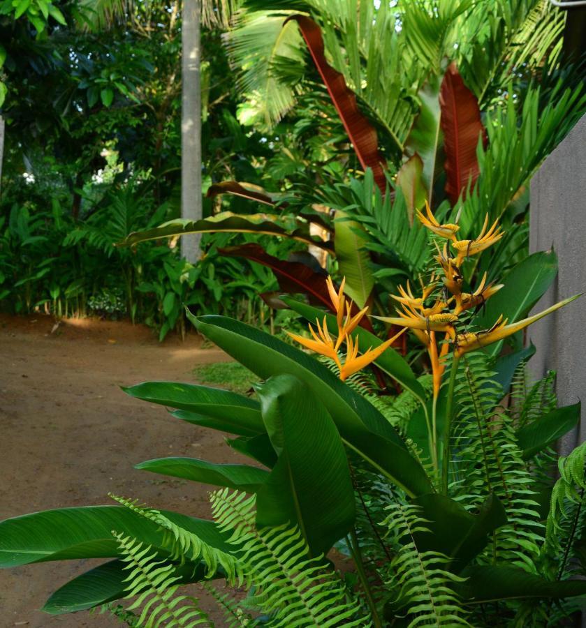 View Guesthouse & Bistro At Goyambokka Tangalle Exterior foto